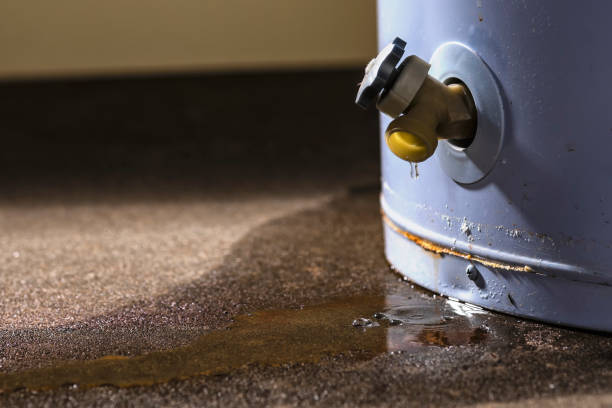 Best Local water damage restoration  in Blasdell, NY