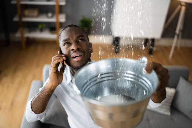 Best Local water damage restoration  in Blasdell, NY