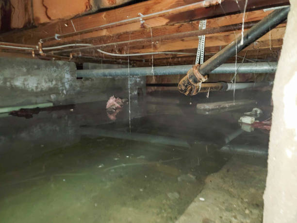 Trusted Blasdell, NY Water damage restoration Experts