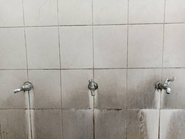 Best Commercial water damage restoration  in Blasdell, NY