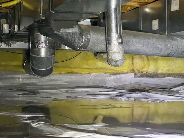 Best 24-hour water damage restoration  in Blasdell, NY