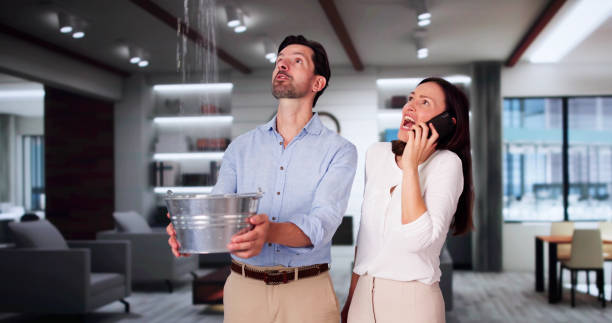  Blasdell, NY Water damage restoration Pros