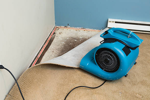 Best Fire Damage Restoration  in Blasdell, NY
